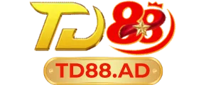 logo td88