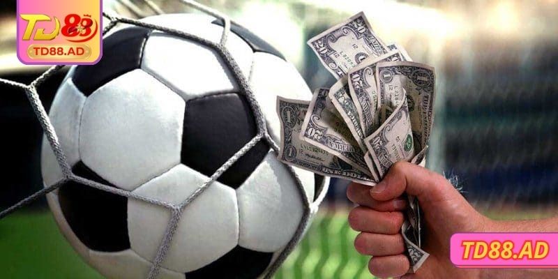 Cách tính nhuận dự kiến chi tiết nhất