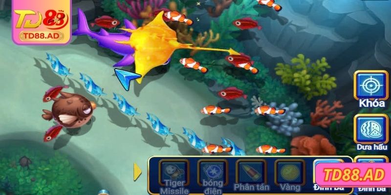 Các bước cơ bản trong bắn cá hiệu quả nhất 